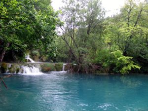 Wasser